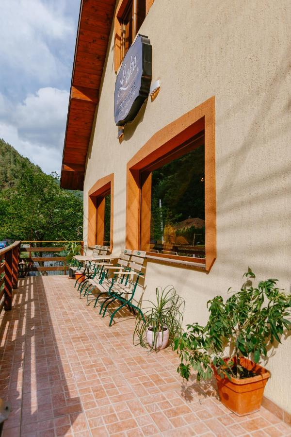 Pensiunea Luka Slanic Moldova Exterior photo